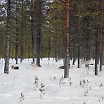 Lapland Landscape Xl With Nature View, Sauna, Fireplace & Kitchen, Sodankylae, Luosto, Fell Village