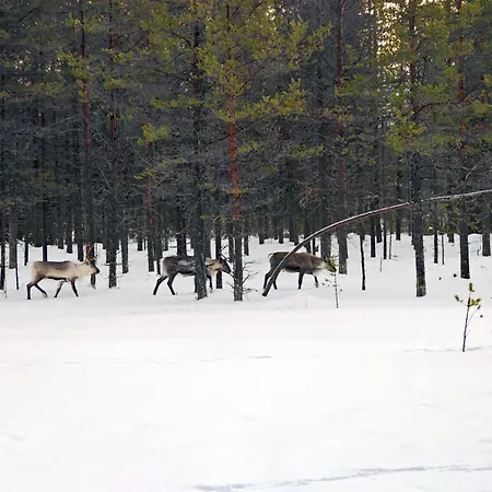 度假居 Lapland Landscape Xl With Nature View, Sauna, Fireplace & Kitchen, Sodankylae, Luosto, Fell Village