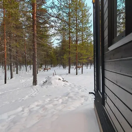 Tatil Evi Lapland Landscape Xl With Nature View, Sauna, Fireplace & Kitchen, Sodankylae, Luosto, Fell Village Luosto