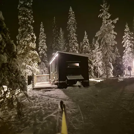 Tatil Evi Lapland Landscape Xl With Nature View, Sauna, Fireplace & Kitchen, Sodankylae, Luosto, Fell Village Luosto